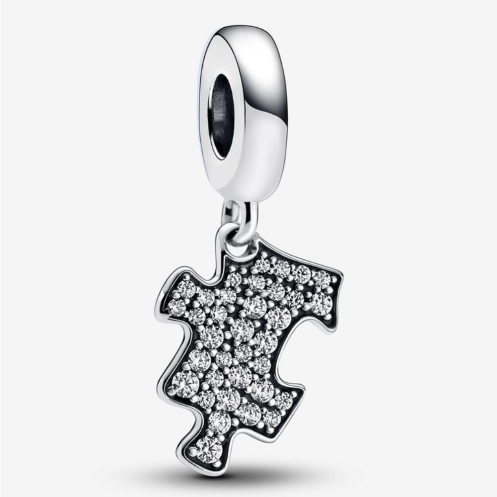 Sparkling Puzzle Piece Dangle Charm